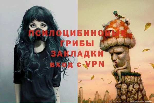 трава Новозыбков