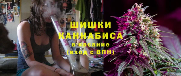 трава Новозыбков