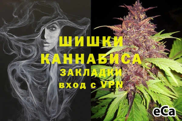 амф Няндома