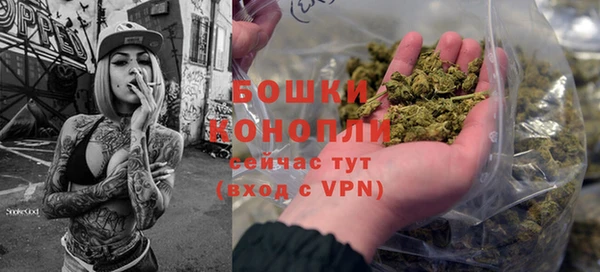 амф Няндома