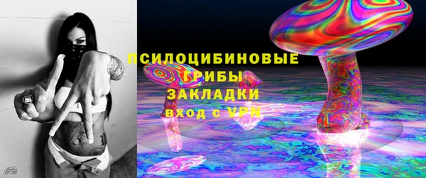 прущие грибы Нязепетровск